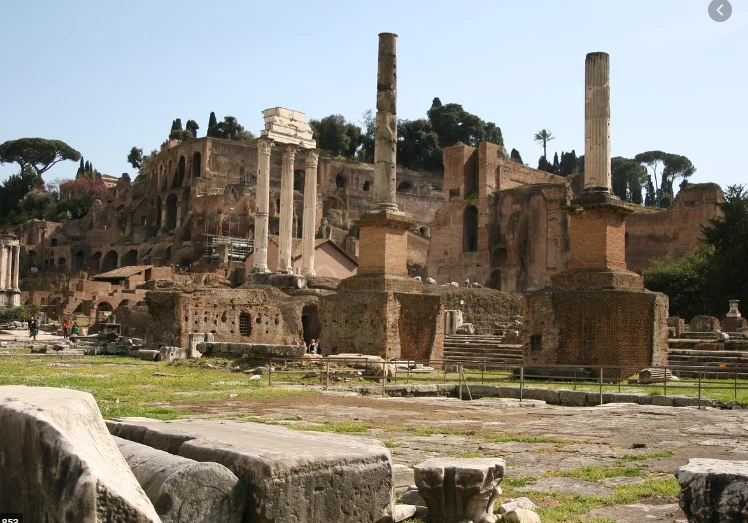 %ED%8F%AC%EB%A1%9C%ED%94%BD%EC%82%AC.PNG?type=w1