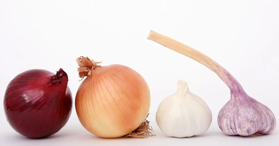 %EC%96%91%ED%8C%8C.PNG?type=w1