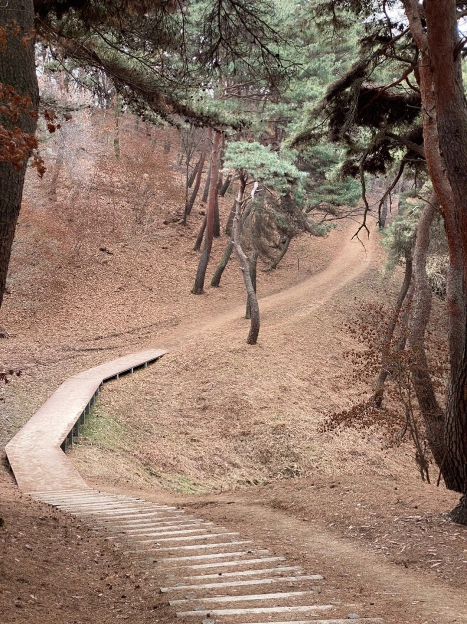 KakaoTalk_20210128_205336848_16.jpg?type=w1