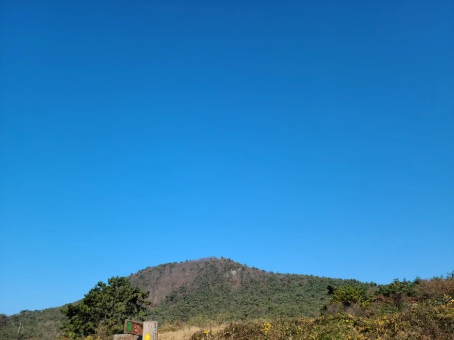 KakaoTalk_20201126_102346885_03.jpg?type=w1