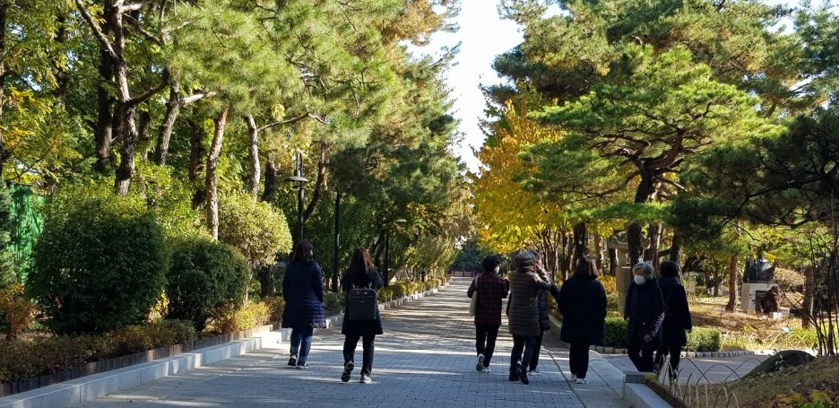 1604630732058-16.jpg?type=w1