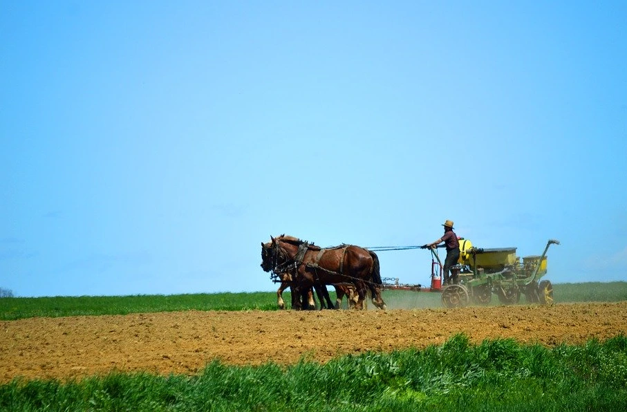 %EB%B0%80%EB%86%8D%EC%82%AC.PNG?type=w1