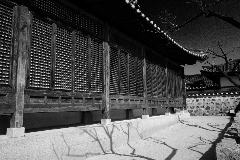 1646816231297-3.jpg?type=w1