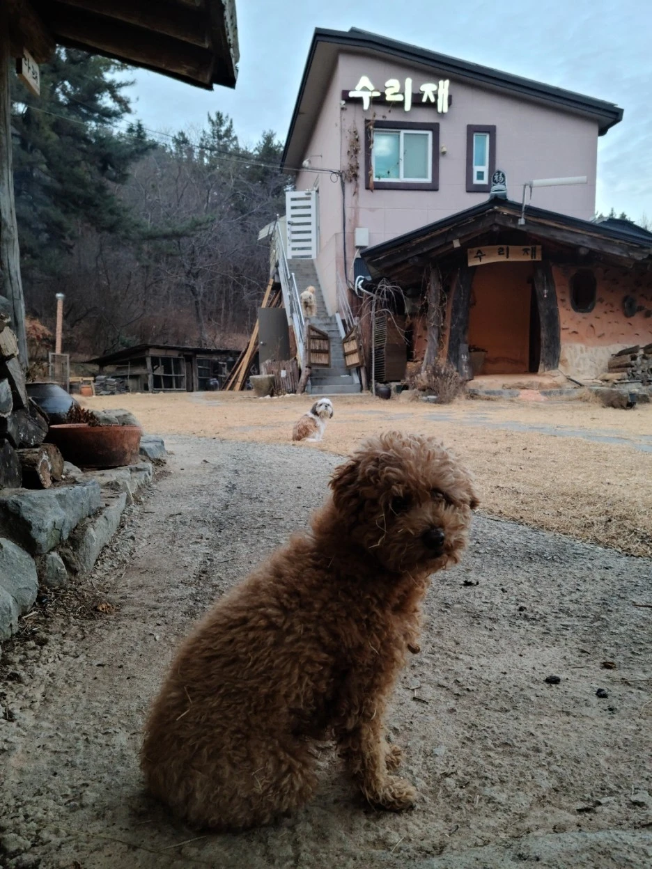 KakaoTalk_20210128_205634525_19.jpg?type=w1