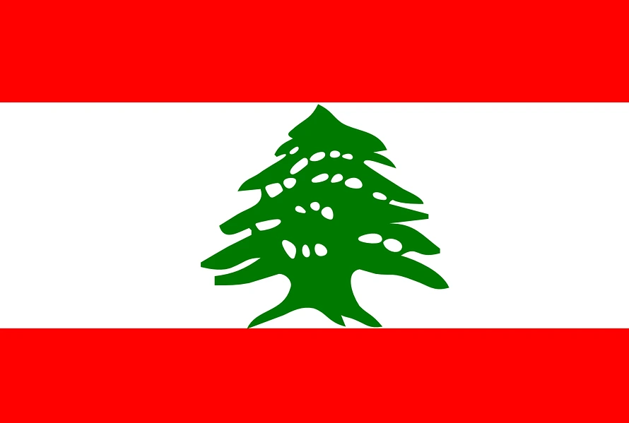 %EB%A0%88%EB%B0%94%EB%85%BC%EA%B5%AD%EA%B8%B0.PNG?type=w1