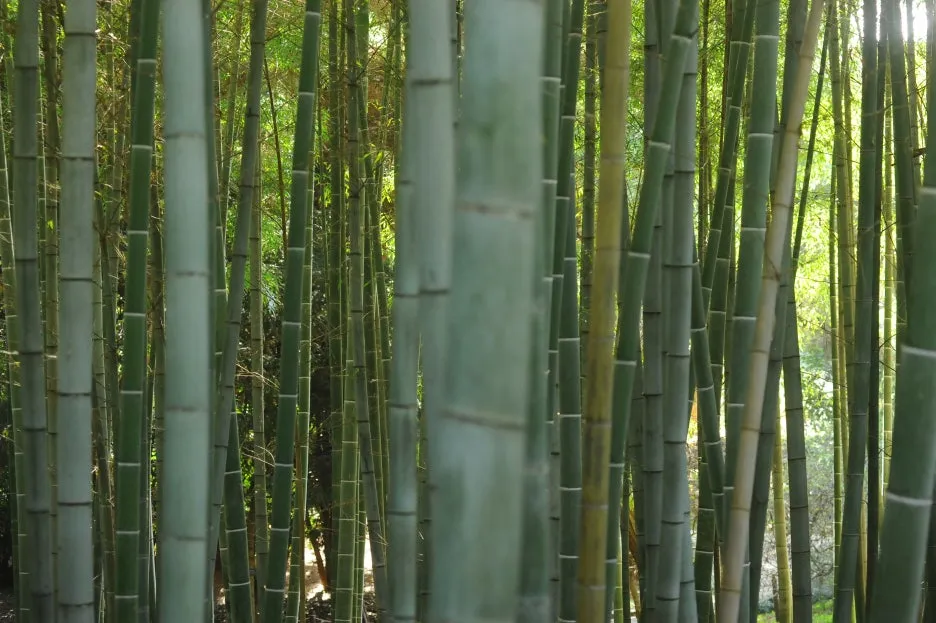 1731155877015-15.jpg?type=w1