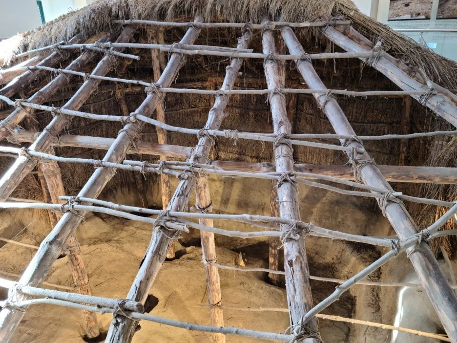 KakaoTalk_20210128_205634525_29.jpg?type=w1