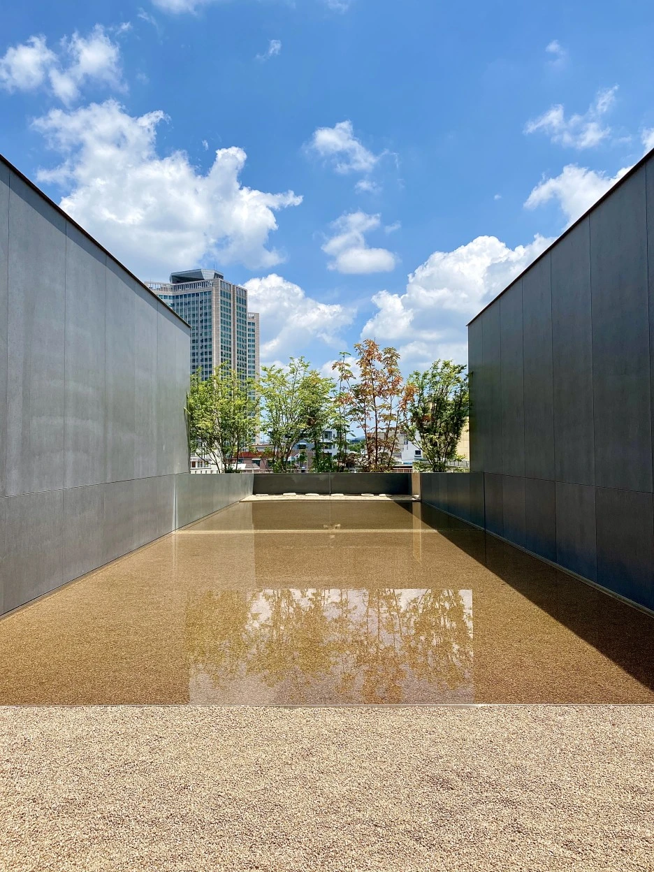 1591853638046.jpg?type=w1