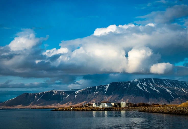 %EB%A0%88%EC%9D%B4%EC%BA%AC%EB%B9%84%ED%81%AC%ED%94%BD%EC%82%AC.PNG?type=w1