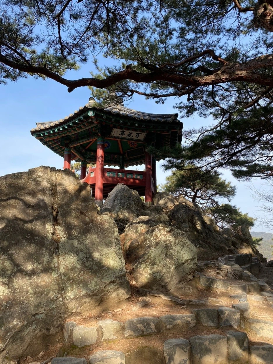 KakaoTalk_20210128_205336848_19.jpg?type=w1