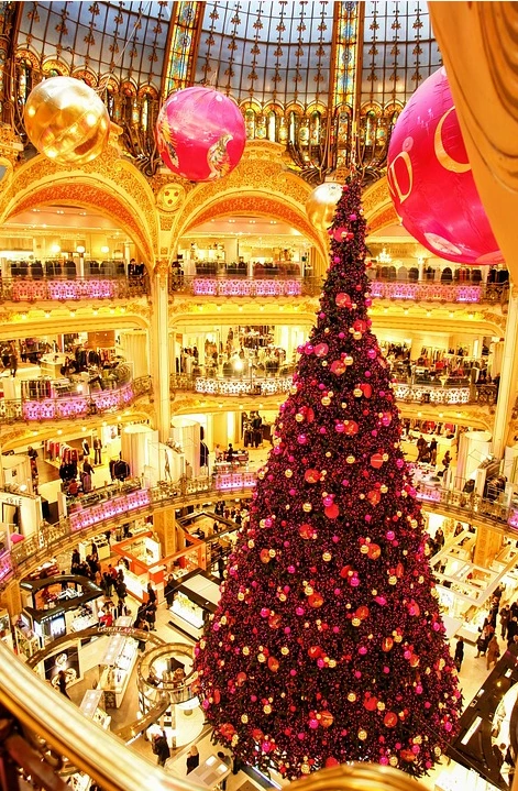 %EB%9D%BC%ED%8C%8C%EC%98%88%ED%8A%B8.PNG?type=w1