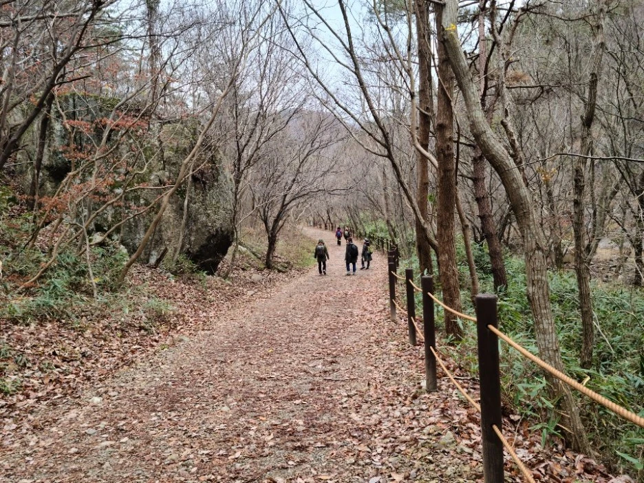 KakaoTalk_20201126_102802253_14.jpg?type=w1