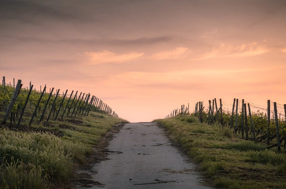 %EA%B8%B8.PNG?type=w1