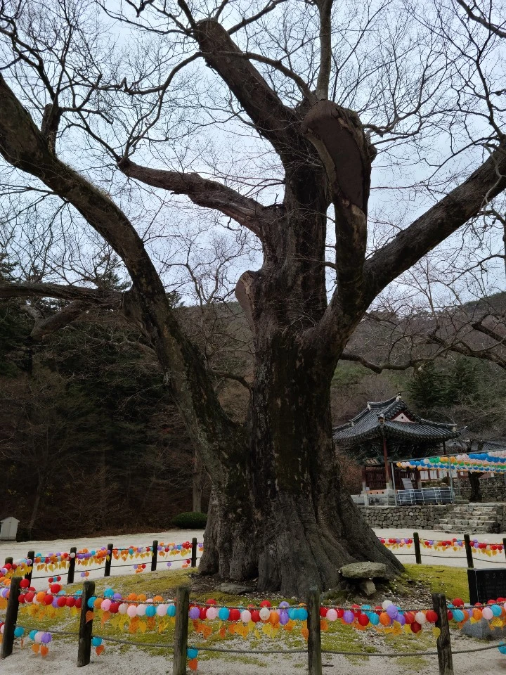 KakaoTalk_20201126_102346885_29.jpg?type=w1