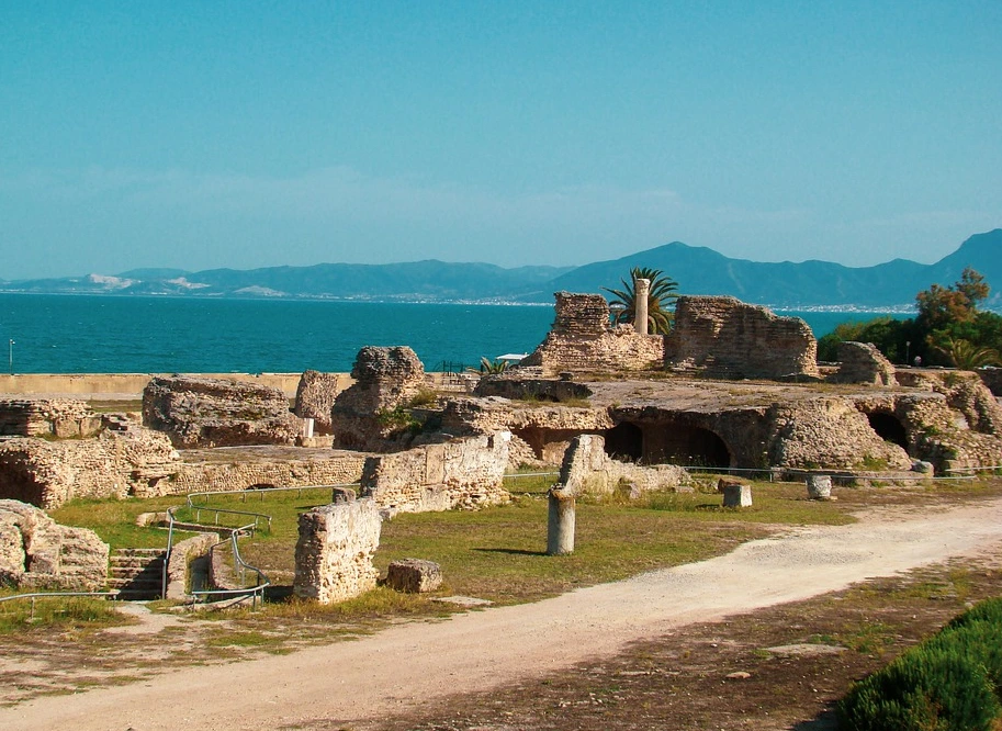 %EC%B9%B4%EB%A5%B4%ED%83%80%EA%B3%A0%ED%94%BD%EC%82%AC.PNG?type=w1