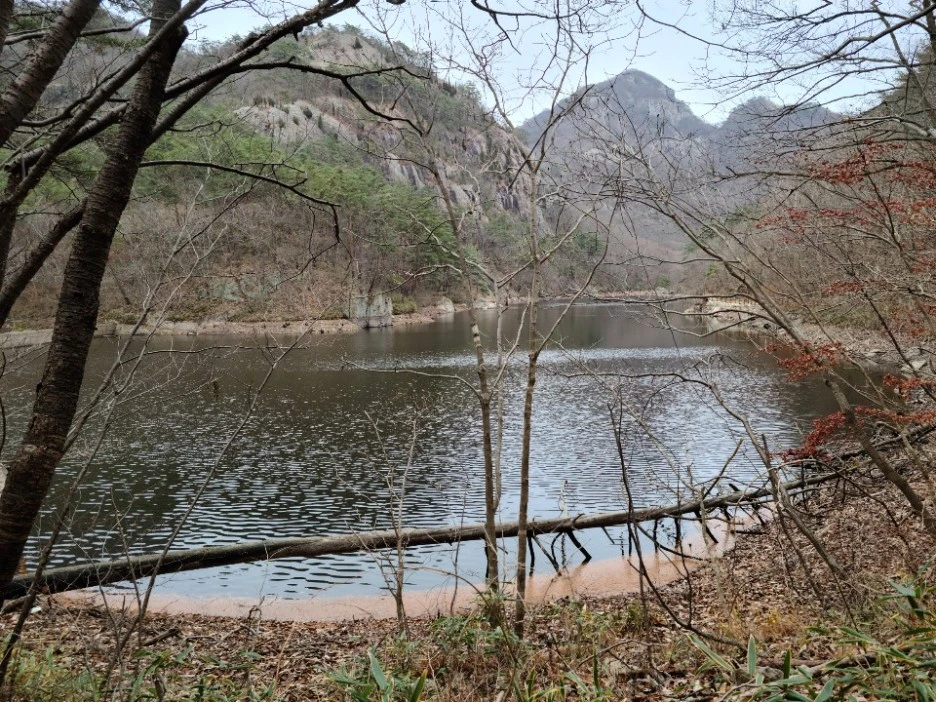 KakaoTalk_20201126_102802253_11.jpg?type=w1