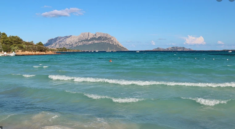 %EC%A7%80%EC%A4%91%ED%95%B4%ED%94%BD%EC%82%AC.PNG?type=w1