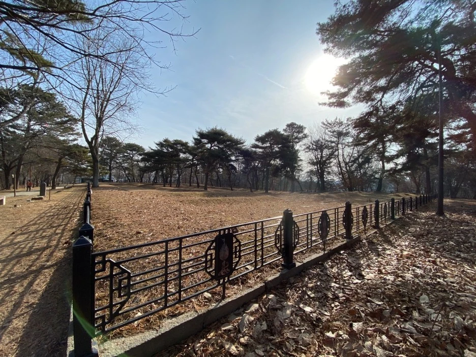 KakaoTalk_20210128_205634525_02.jpg?type=w1