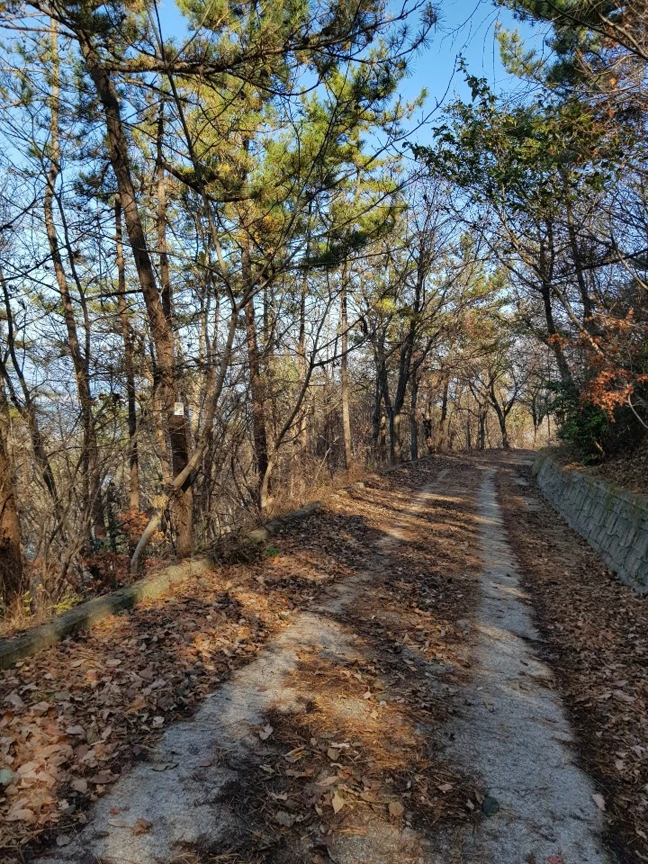 KakaoTalk_20201130_215358032.jpg?type=w1