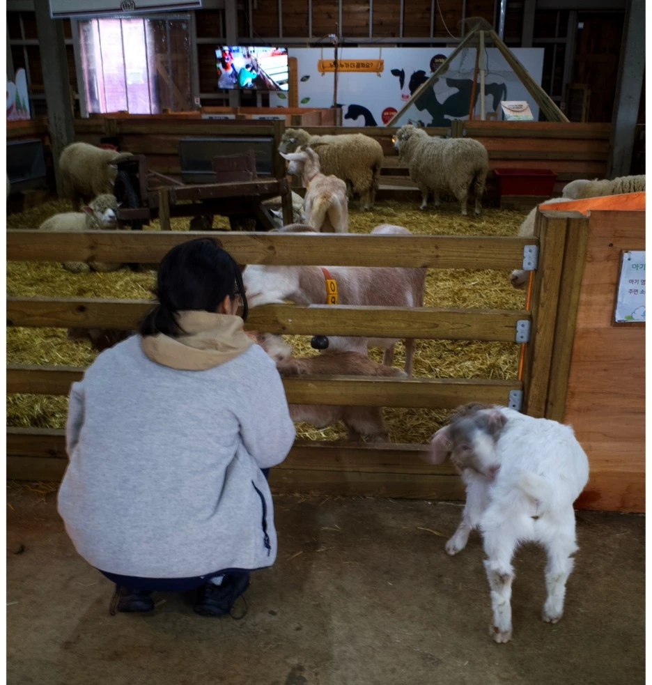 SE-4a68c3f0-99c3-41b8-ba6d-3ff605a9d7f8.jpg?type=w1