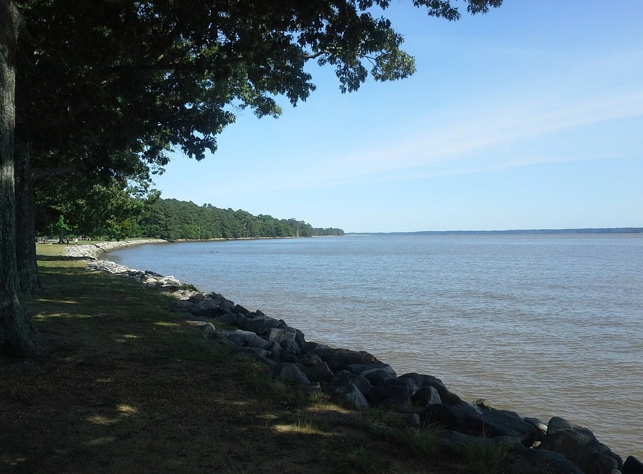 %EC%A0%9C%EC%9E%84%EC%8A%A4%EA%B0%95.PNG?type=w1