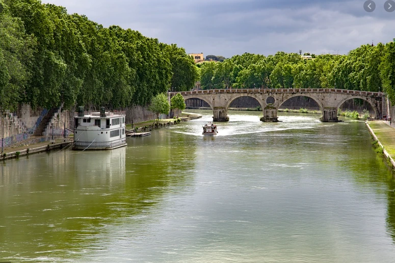 %ED%85%8C%EB%B2%A0%EB%A0%88%EB%8B%A4%EB%A6%AC%ED%94%BD%EC%82%AC.PNG?type=w1