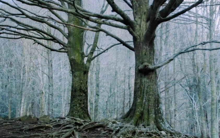 %EC%9D%BC%EC%9A%94%EC%9D%BC%EC%9D%98%EB%B3%913.PNG?type=w1