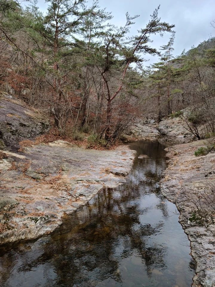 KakaoTalk_20201126_102802253_08.jpg?type=w1