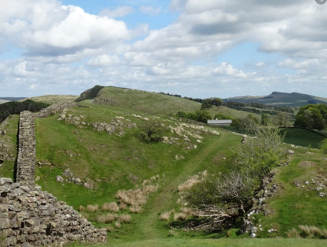 %ED%95%98%EB%93%9C%EB%A6%AC%EC%95%84%EB%88%84%EC%8A%A4%EC%84%B1%EB%B2%BD%ED%94%BD%EC%82%AC.PNG?type=w1