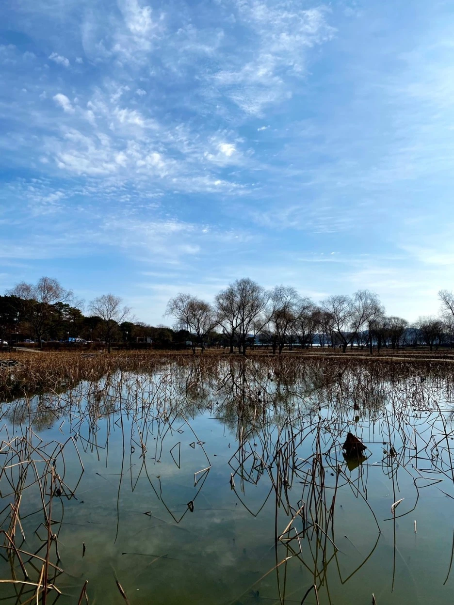 KakaoTalk_20210128_205336848_01.jpg?type=w1