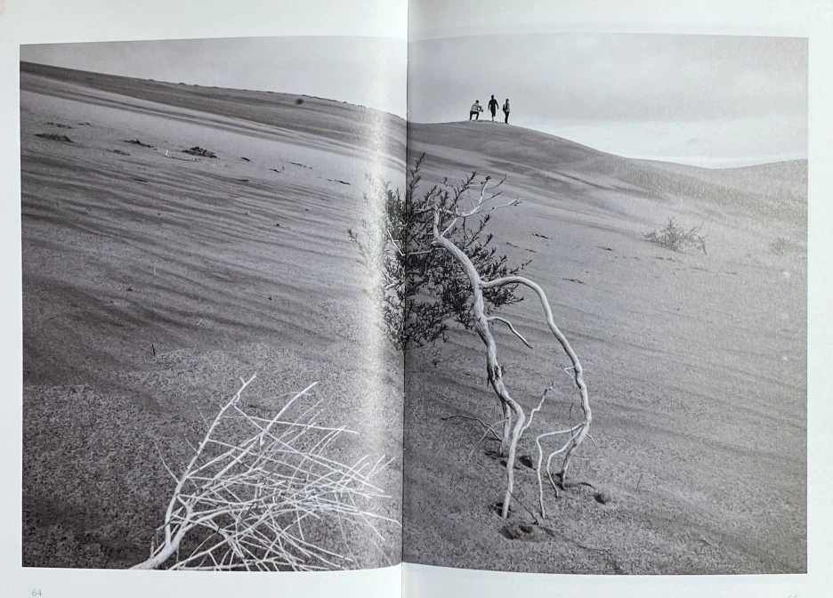 1605785670252.jpg?type=w1