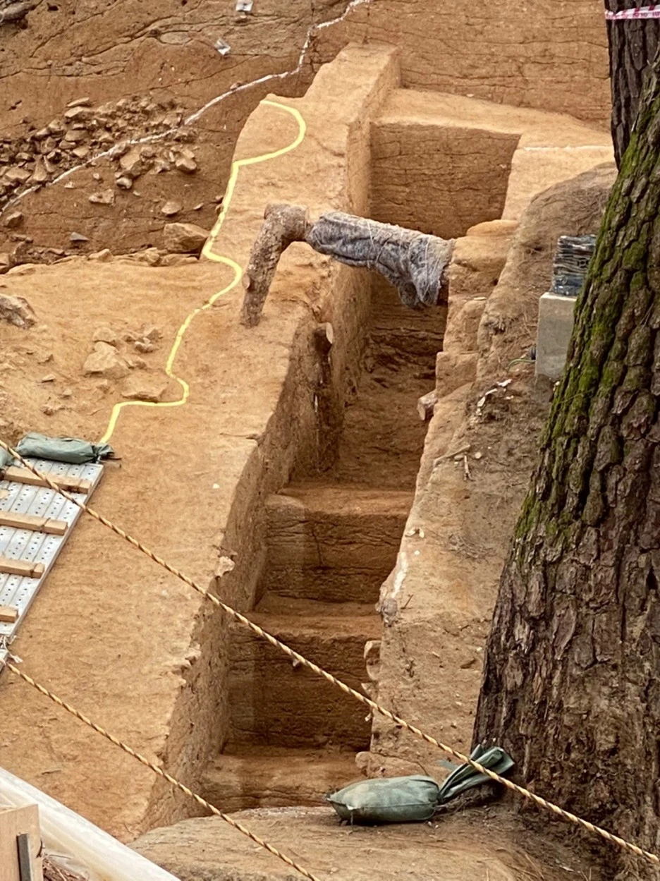 KakaoTalk_20210128_205336848_12.jpg?type=w1