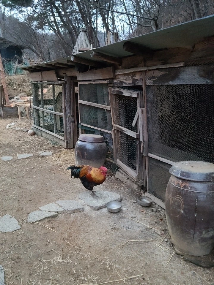 KakaoTalk_20210128_205634525_17.jpg?type=w1