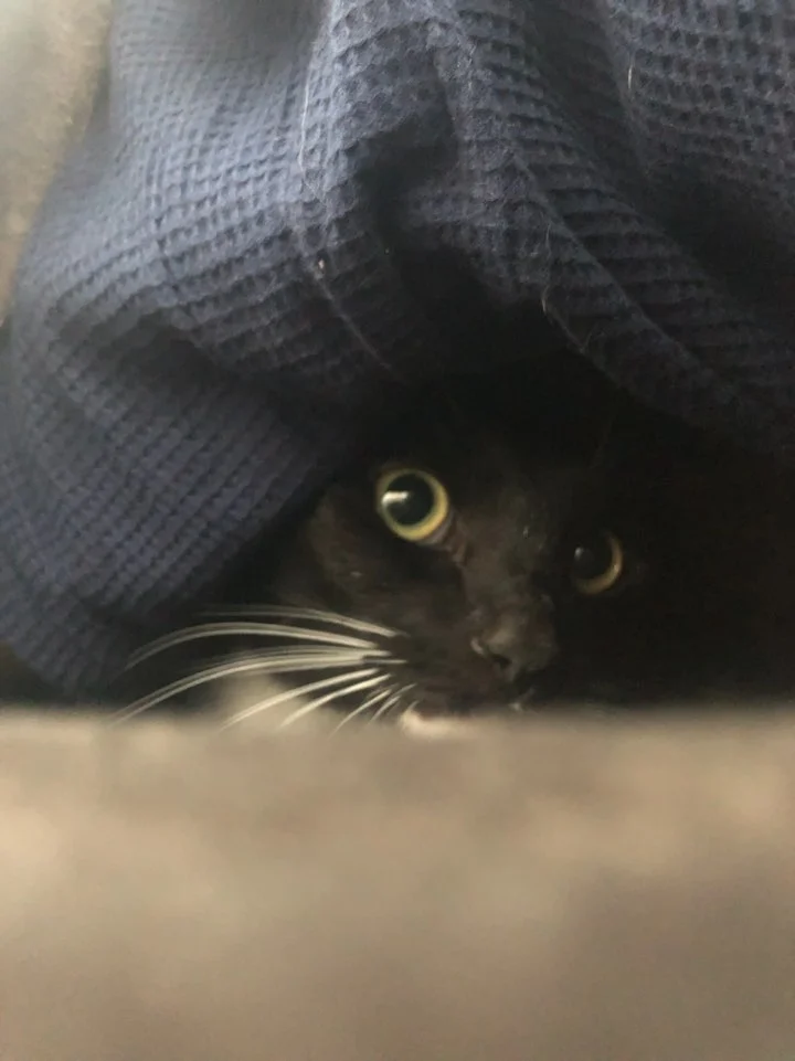 1584615529309.jpg?type=w1