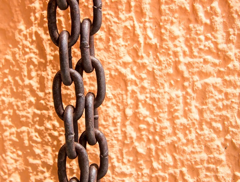 %EC%82%AC%EB%A5%BC.PNG?type=w1