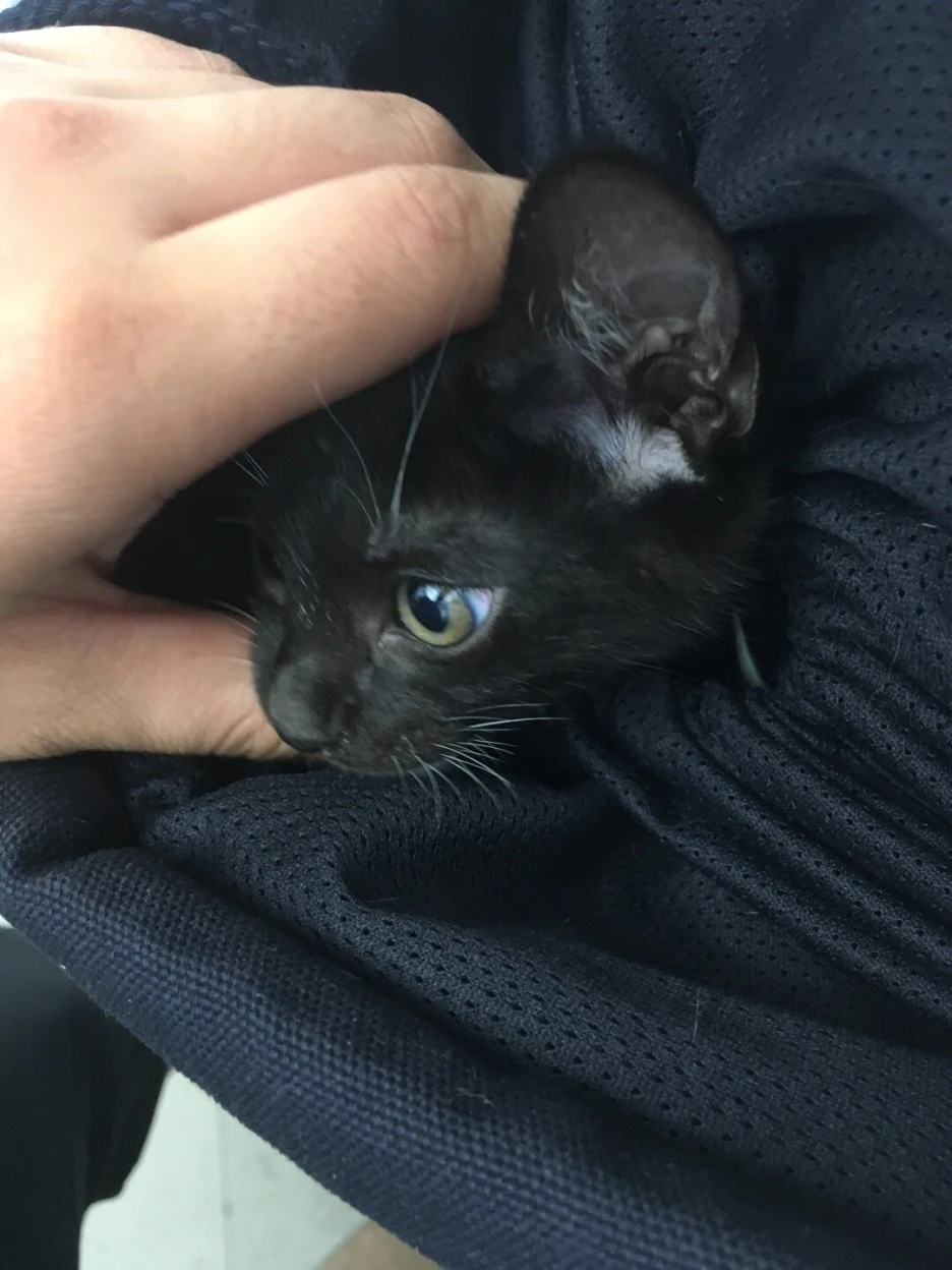 1498275269122.jpeg?type=w1