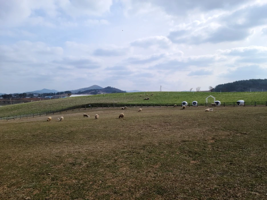 20240307_100517.jpg?type=w1