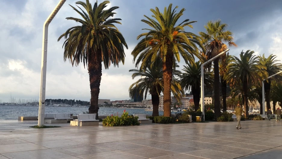 20161020_080732.jpg?type=w1