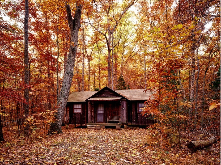 %ED%8E%9C%EC%8B%A4%EB%B2%A0%EB%8B%88%EC%95%84%EC%88%B2.PNG?type=w1