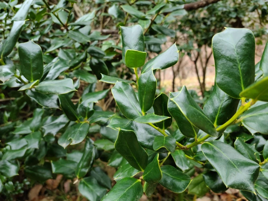 KakaoTalk_20201125_181841049_08.jpg?type=w1