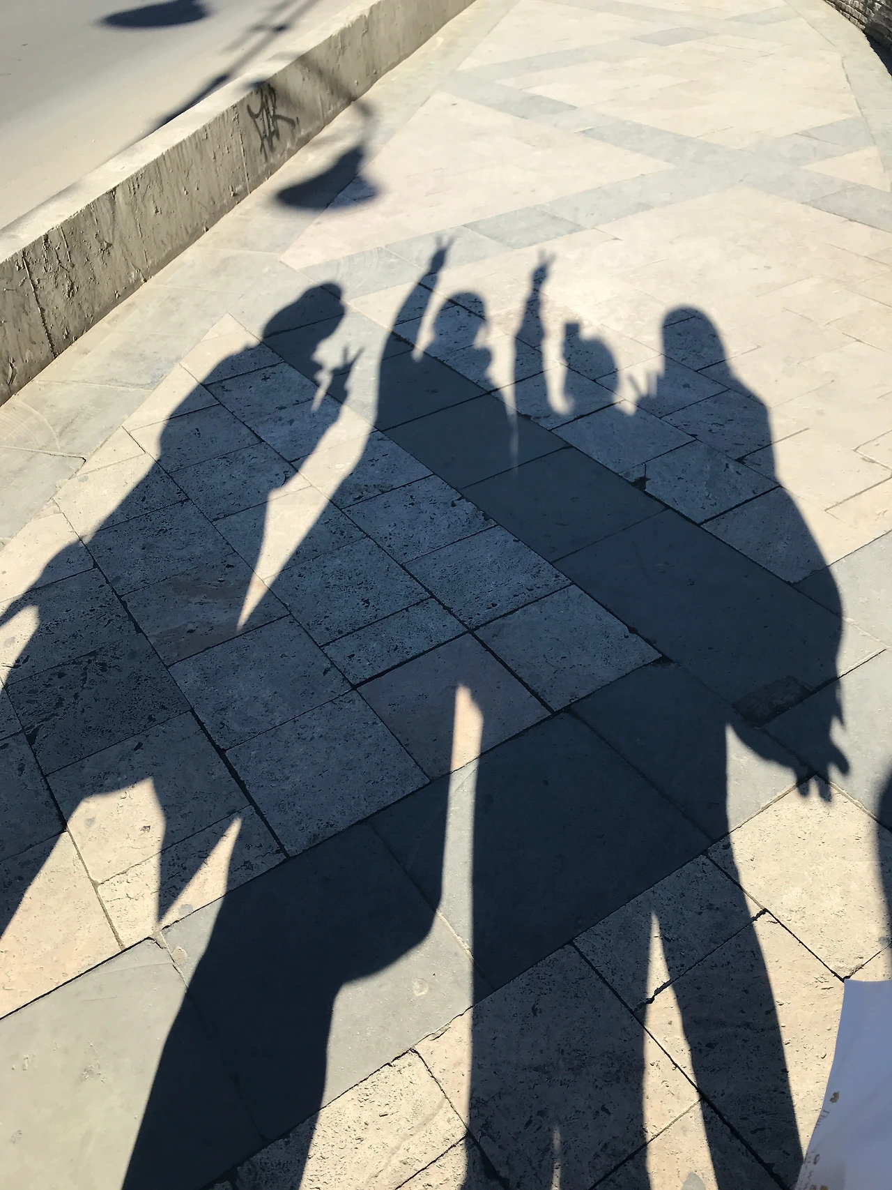 P20190110_182443196_AA65D7BD-E994-46A6-BB87-55D6C38C8857 (1).JPG