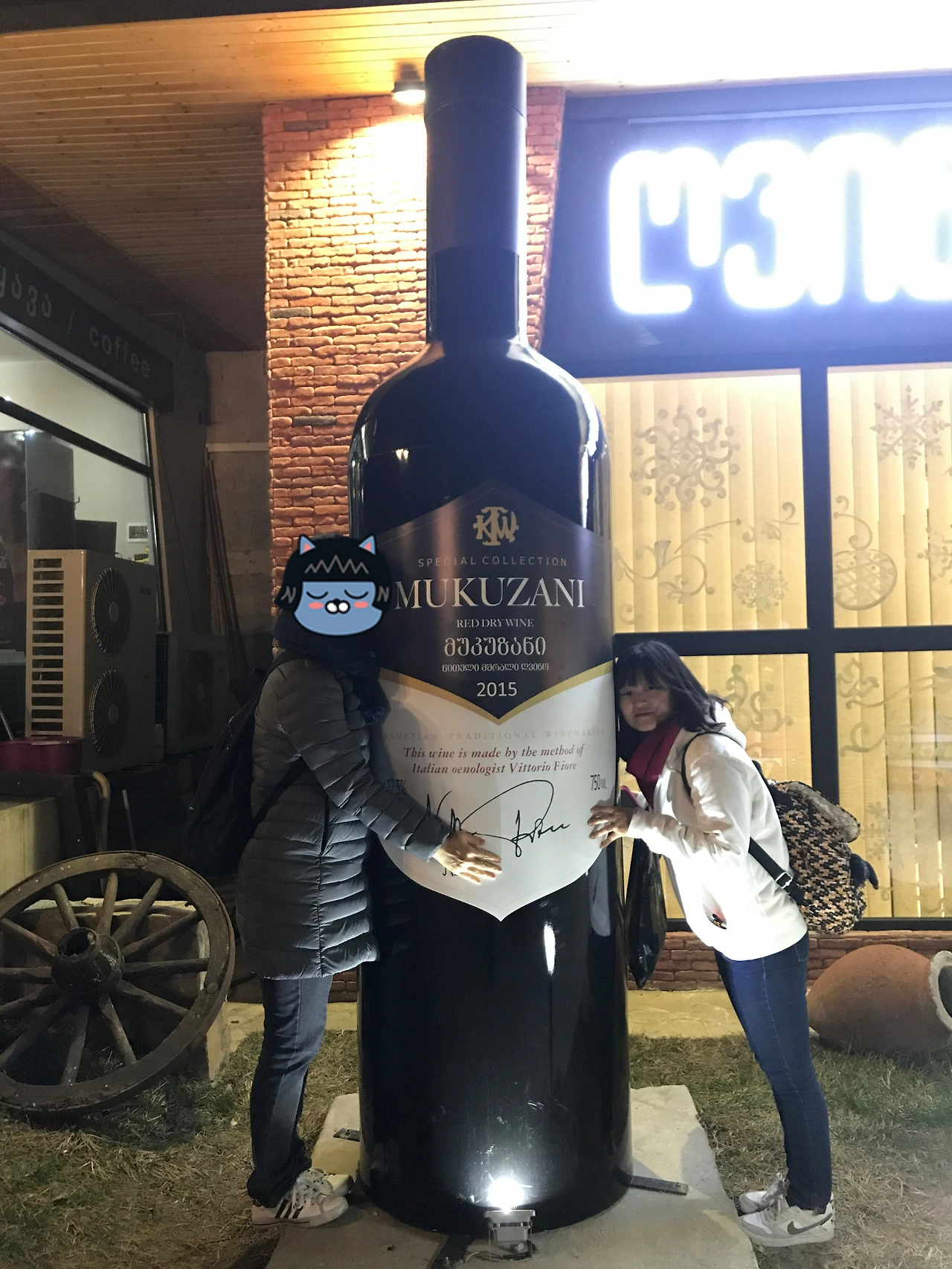 P20190110_001325456_66E67E4C-57B9-4919-B36B-B6A7BEFBE27E (1).JPG