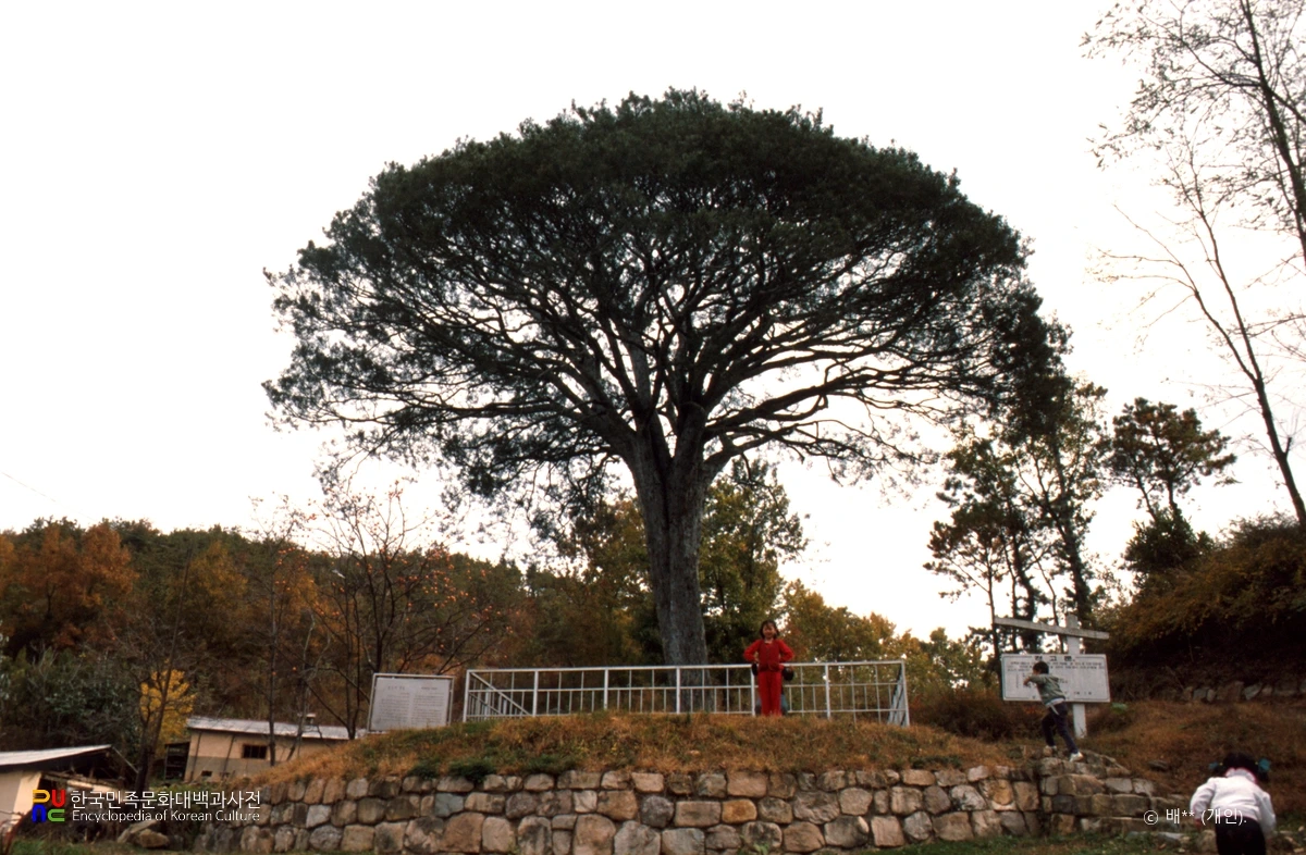 121bc9d2-127d-406a-a32b-84f09ab470c6?preset=orig