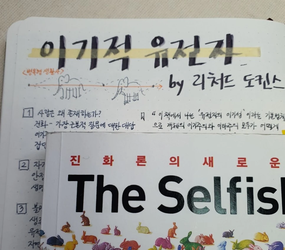 SE-0e0cc75f-6689-462b-8e2e-f34c47ea9914.jpg?type=w966