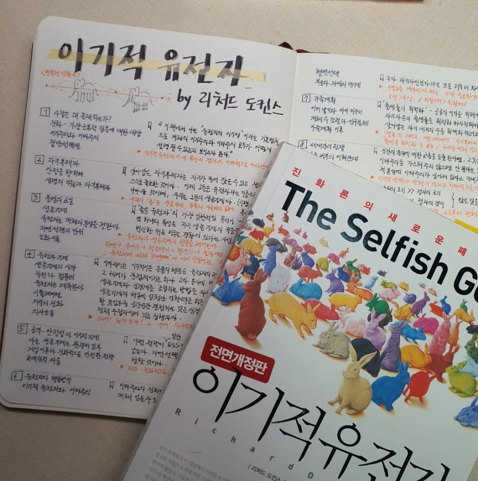 SE-2fa21782-3f4b-4f7c-8ee1-8624cace9d5f.jpg?type=w966