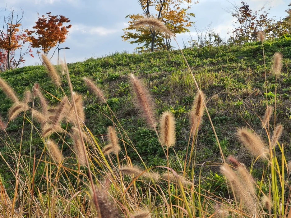 KakaoTalk_20230116_104259112.jpg?type=w1