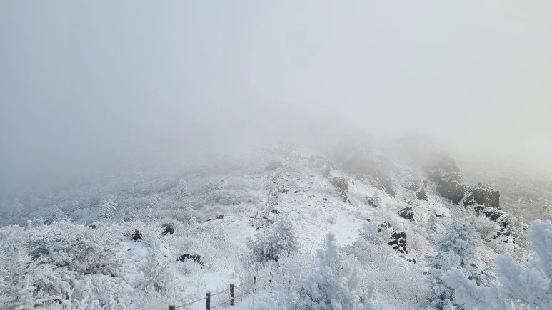 20231223_085401.jpg?type=w773