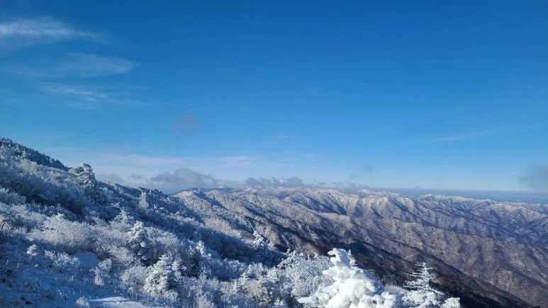 20231223_095838.jpg?type=w773