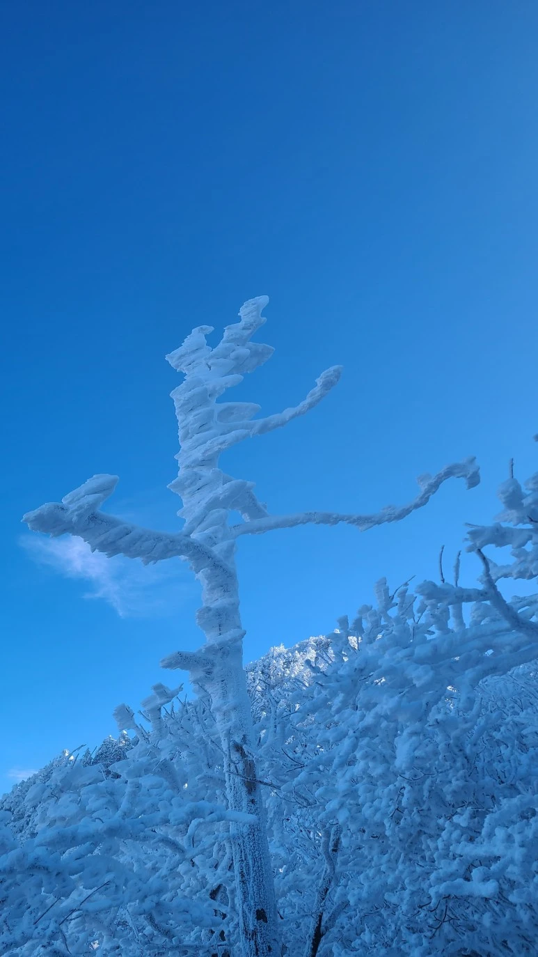 20231223_103644.jpg?type=w773