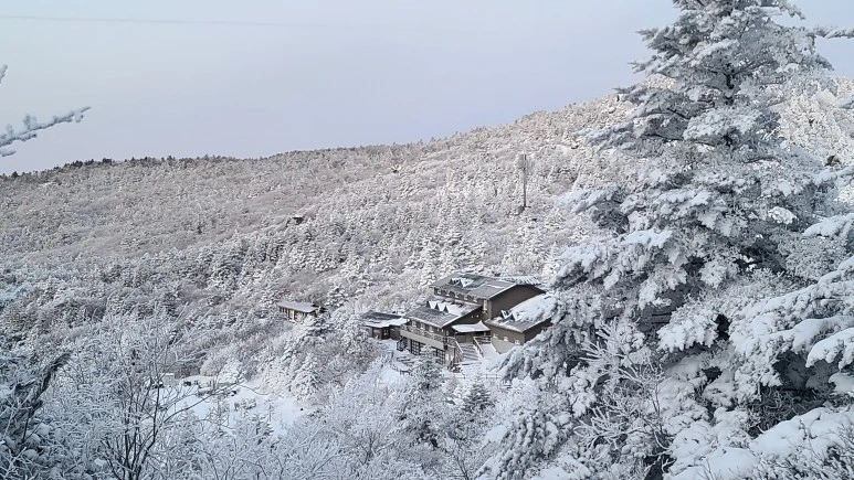 20231223_072933.jpg?type=w773